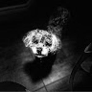 Meet your Posher, Vm